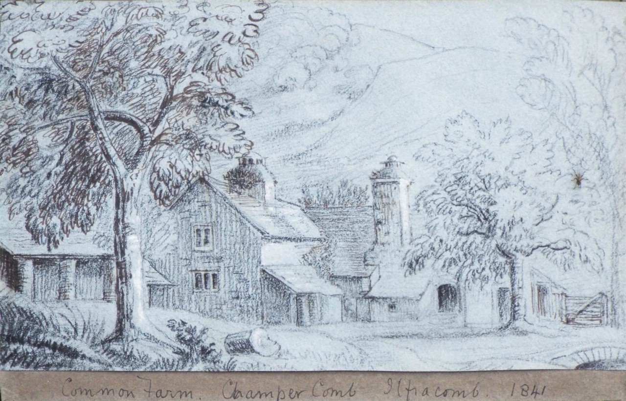 Charcoal drawing - Common Farm Champer Comb Ilfracombe 1841